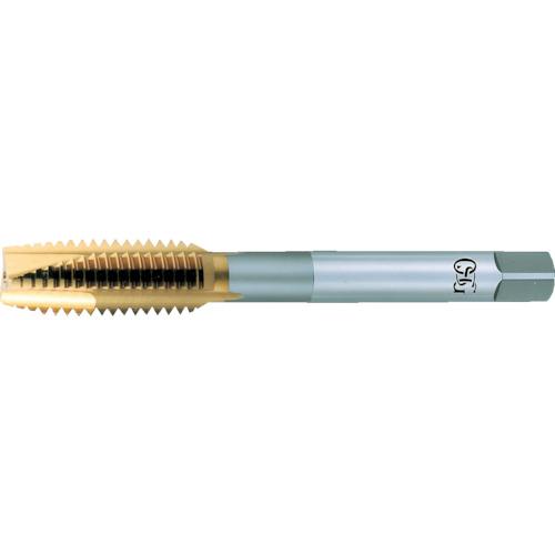 OSG タップ TIN-POT-STD-M5X0.8 10817 10本まとめ売り 【まとめ