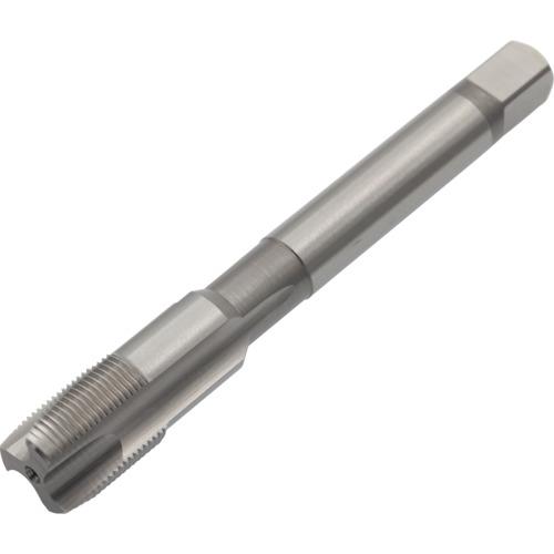 ヤマワ ポイントタップ PO-P2-M12X0.5 PO P2 M12X0.5 5本まとめ売り 【まとめ売り商品】_1