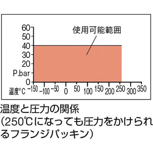 クリンガー ノンアスベストジョイントシート HNJ-50A-5K フランジ外パッキン 5K A50 10枚まとめ売り 【まとめ売り商品】_3