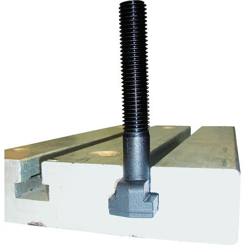 SUPER Tスロットボルト(M18)T溝:18 TBM-18100 H(mm):100 10本まとめ売り 【まとめ売り商品】_1
