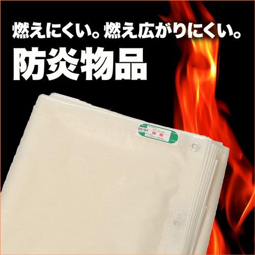 萩原 ターピー TOBS3654 透光防炎シート 半透明 3.6m×5.4m