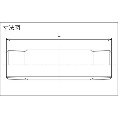FLOBAL 両長ニップル(SUS304TP) VLN-S40-10125 04120039 10個まとめ売り 【まとめ売り商品】_1