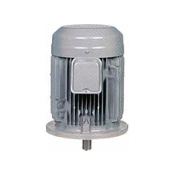 三菱 三相モーター SF-PRV-30kW-6P AC200V 6極 汎用 立形 標準モータ 屋内仕様