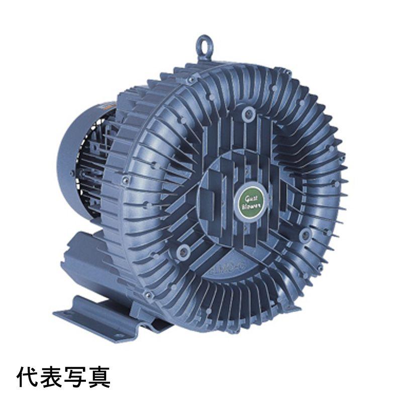 生産終了品) SDG(昭和電機) 送風機 U2S-H370 渦流式高圧 生産終了品) SDG(昭和電機) 送風機 U2S-H370 渦流式高圧
