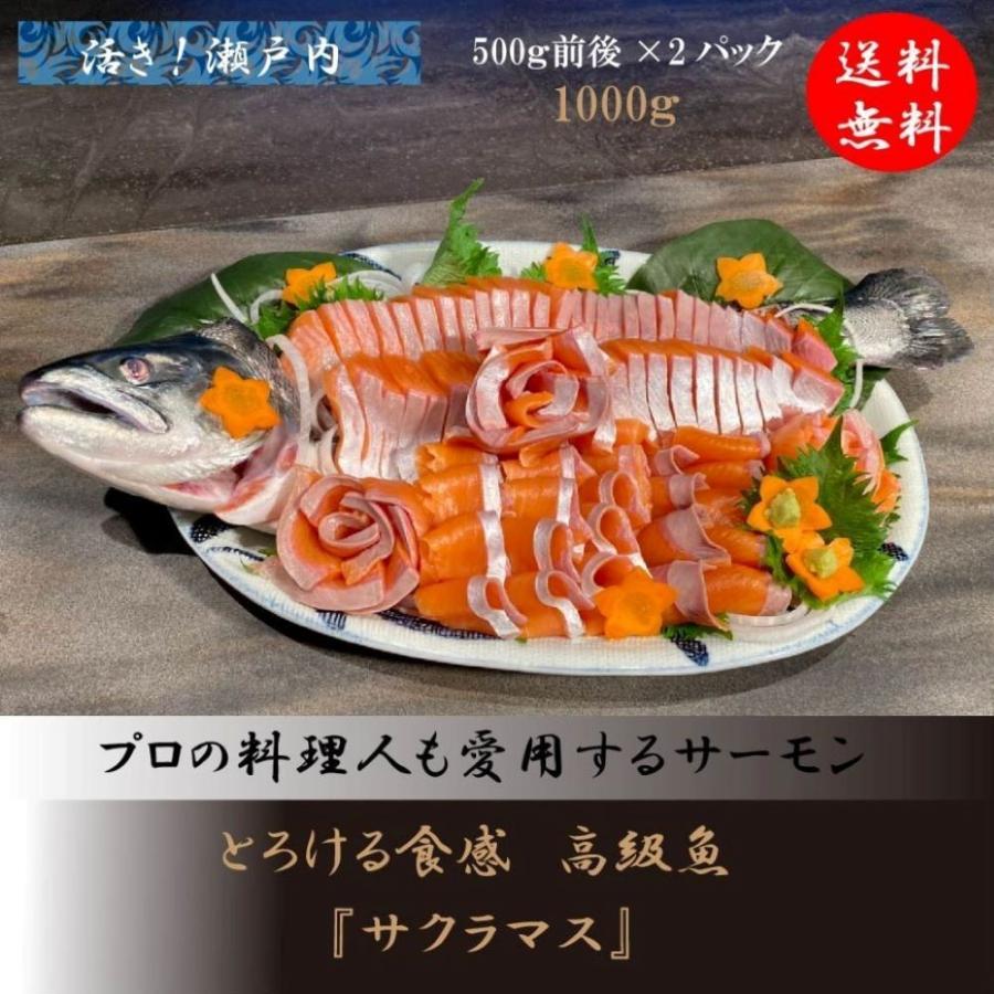 サーモン 1尾2キロ前後 切り身500g前後 柵どり 4本 刺身用 刺身 生食可 坊勢サーモン 桜鱒 切り身 切身 マス 刺身 刺し身 切り身 産地直送 送料無料 即日発送 Bs 01 ニコニコマルシェ 通販 Yahoo ショッピング