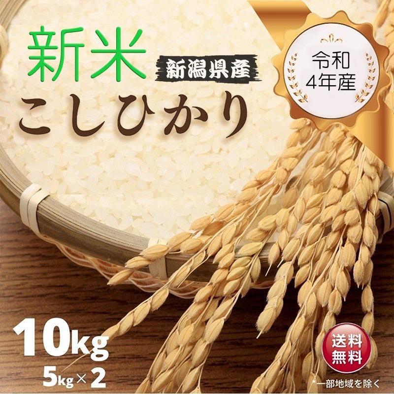 こしひかり 10kg(5kg*2)令和3年産 新潟県産 米 お米 白米 おこめ 精米 単一原料米 ブランド米 10キロ 送料無料 国内産 国産 :nk10:ニコニコマルシェ - 通販 - Yahoo!ショッピング こしひかり 10kg(5kg*2)令和3年産 新潟県産 米 お米 白米 おこめ 精米 単一原料米 ブランド米 10キロ 送料無料 国内産 国産 :nk10:ニコニコマルシェ - 通販 - Yahoo!ショッピング