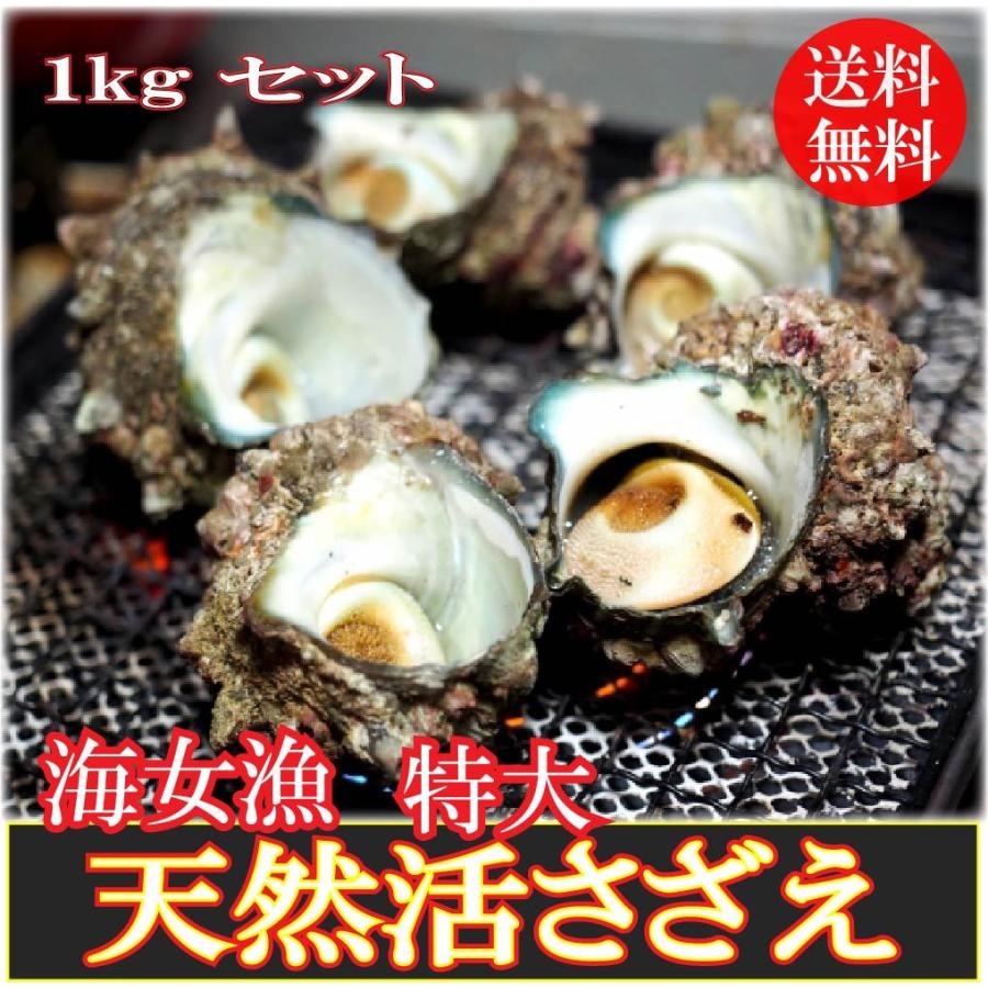 期間限定 伊勢志摩産 海女漁 厳選 サザエ 天然 活き 1キロ 4 6個 貝 かい カイ 壺焼 さざえ 海の幸 新鮮 産地直送 送料無料 即日発送 Sze 01 ニコニコマルシェ 通販 Yahoo ショッピング