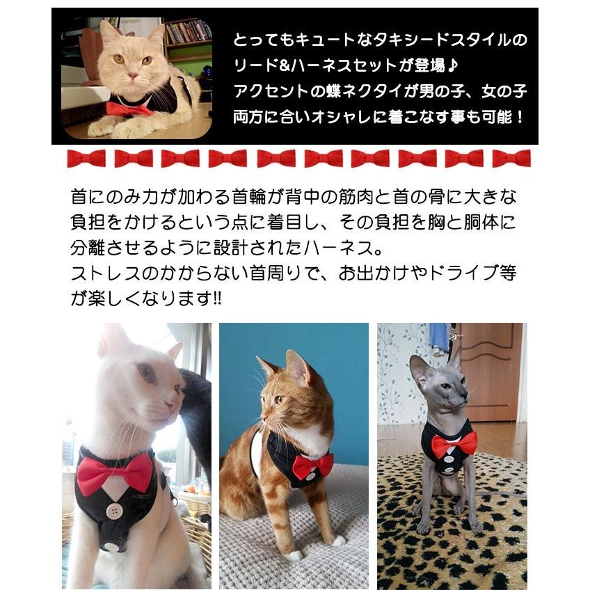 犬 猫 ハーネス リード ペット 服 ウェアハーネス 胴輪 キャット