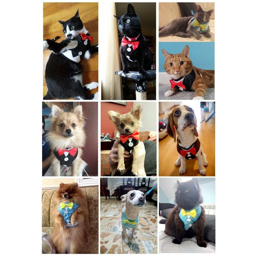 犬 猫 ハーネス リード ペット 服 ウェアハーネス 胴輪 キャット