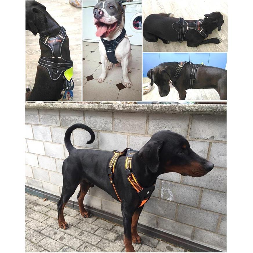 犬 ハーネス ベスト ペット 服 胴輪 キャット ドッグ メッシュ