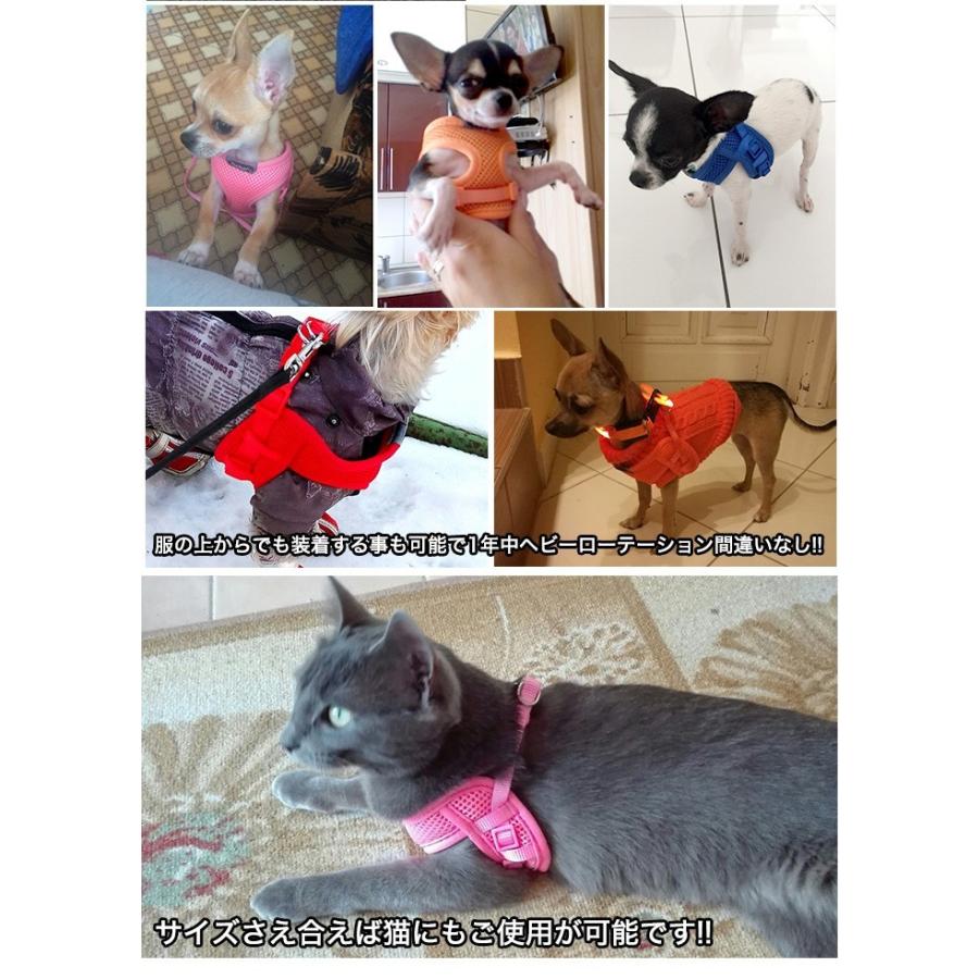 犬用ハーネス・リード付き・S 115r03s_01_1.jpg
