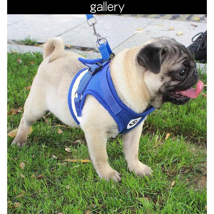 犬用リード＆ハーネス2点SET！Black革Blue系マルチドット 犬用リード＆ハーネス2点SET！Black革Blue系マルチドット