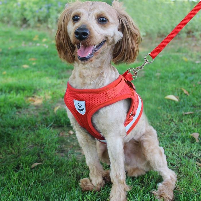 犬 ハーネス リード付 ペット 服  ウェアハーネス 胴輪 キャット ドッグ メッシュ |  | 13