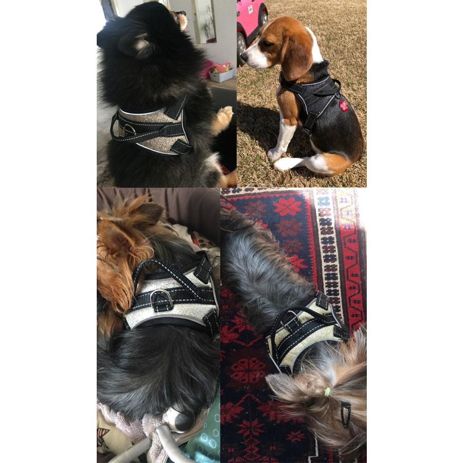 専用○犬服○ハンドメイド 胴44 NO.608 専用○犬服○ハンドメイド 胴44