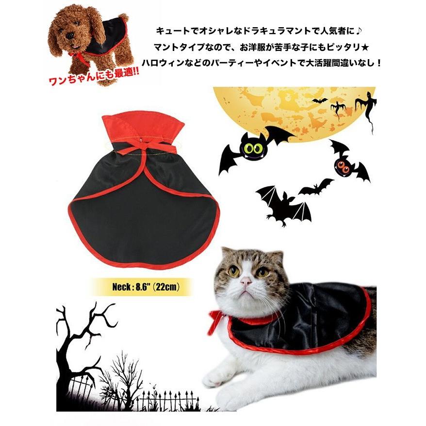 ぶんちゃん、ハロウィンマントセット&スタイセット①わんちゃん猫ちゃん用 ぶんちゃん様専用、ハロウィンマントセット&スタイセット①わん