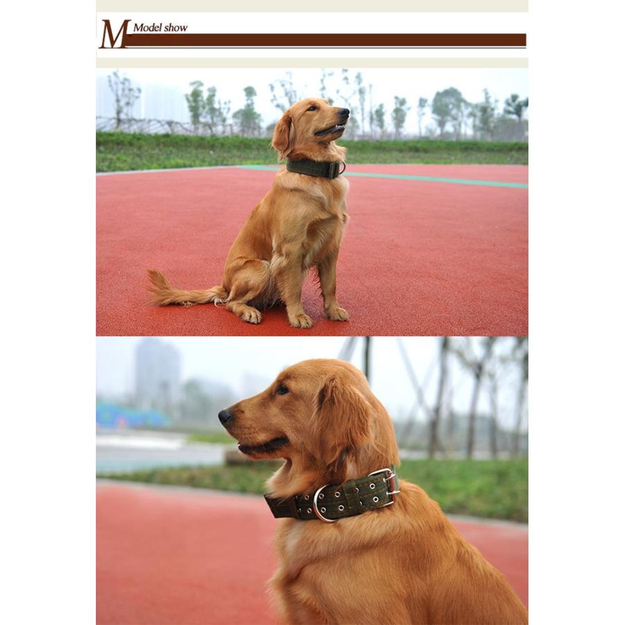 とっておきし福袋 犬 首輪 首や喉に優しい ペット ドッグ ペットグッズ 太い 極太 幅広 小型犬 中型犬 大型犬 Discoversvg Com