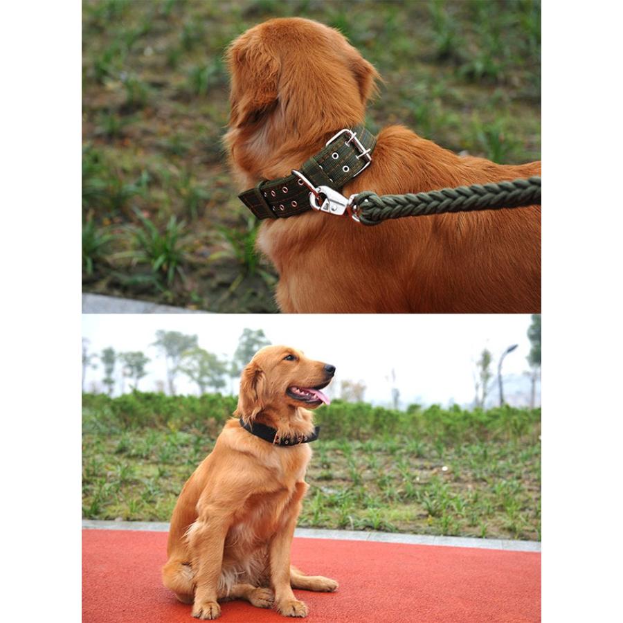 とっておきし福袋 犬 首輪 首や喉に優しい ペット ドッグ ペットグッズ 太い 極太 幅広 小型犬 中型犬 大型犬 Discoversvg Com