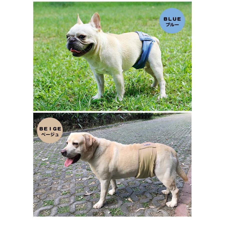 小型犬用 パンツ サイズS ウエスト約20cm(10cm伸びます)