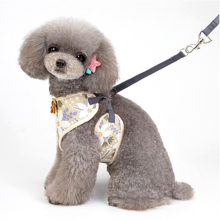 犬用【本革】multicolored リード＆ハーネス2点SET❣️ 愛犬のおしゃれを叶える4doxハーネス｜スタイリッシュで機能的な