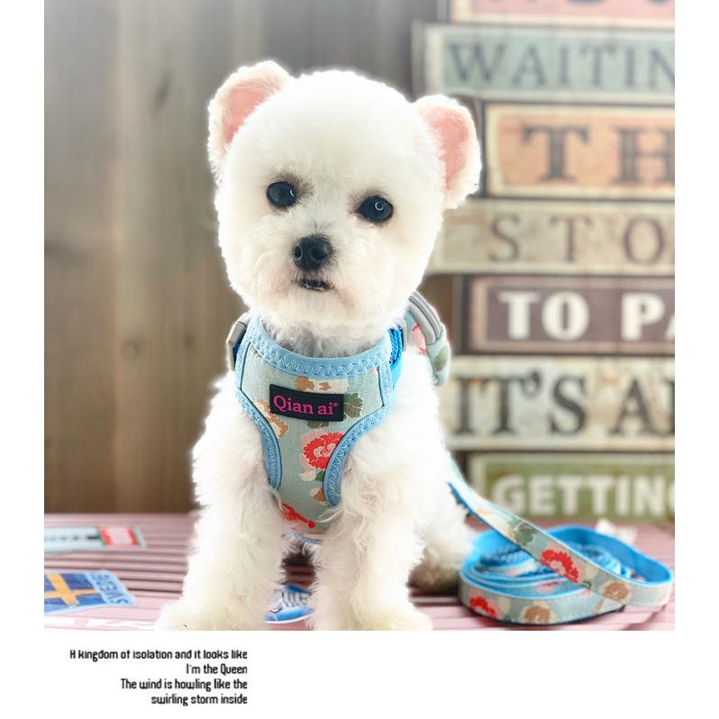 おさかなページ ペット用リュック、リードセット pet-49472.jpg