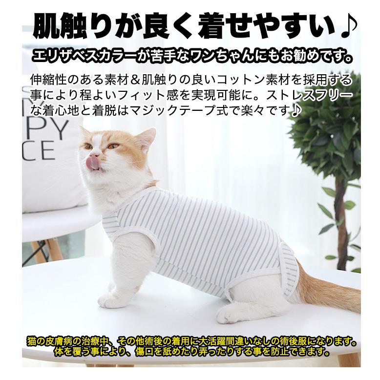 猫 術後服 術後ウェア ボーダー 服 傷 舐めない 傷口保護 ペット用品  ペット服 エリザベスカラー｜sevenbridge｜06