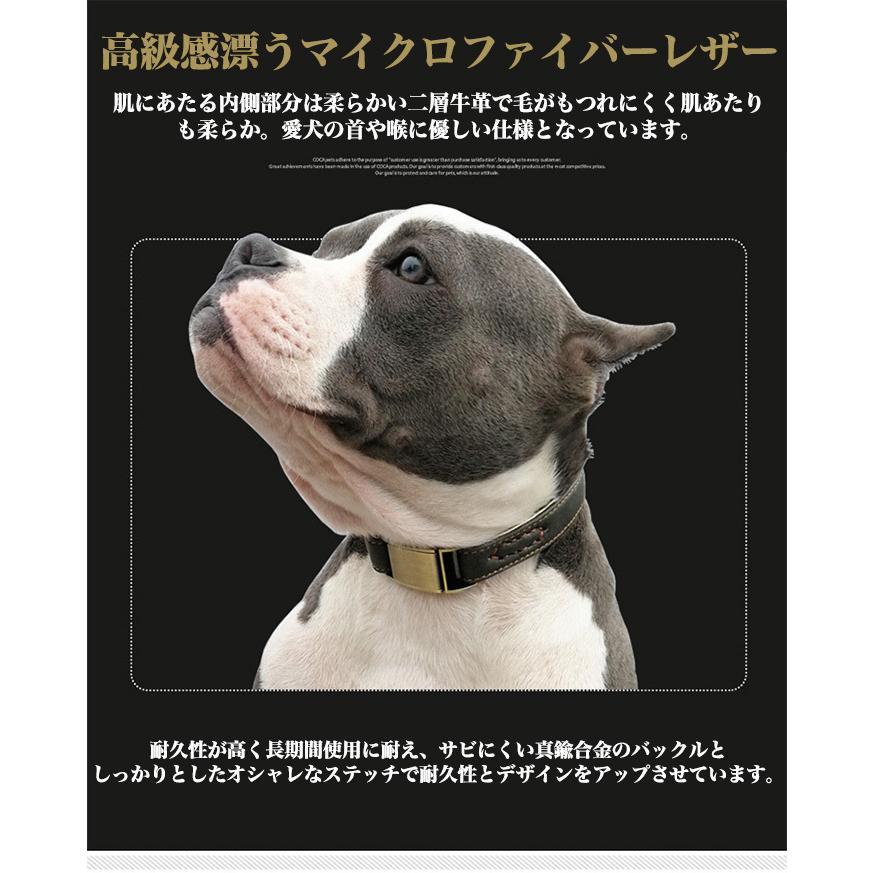 犬 猫 首輪 2重ロック マイクロファイバー レザー 痛くない 犬 猫 首輪 2重ロック マイクロファイバー レザー 痛くない