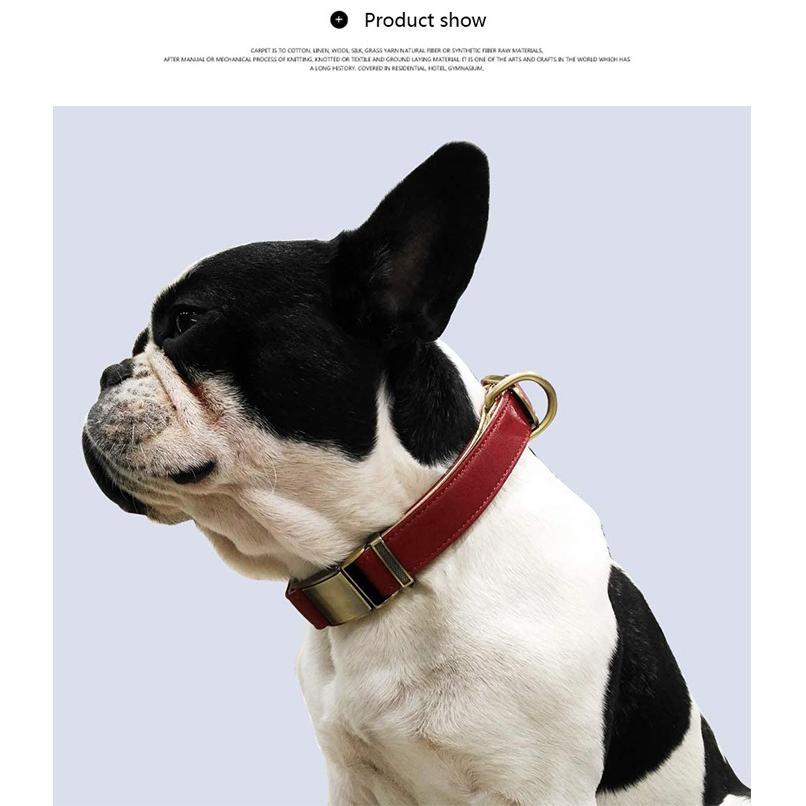 犬 猫 首輪 2重ロック マイクロファイバー レザー 痛くない 犬 猫 首輪 2重ロック マイクロファイバー レザー 痛くない