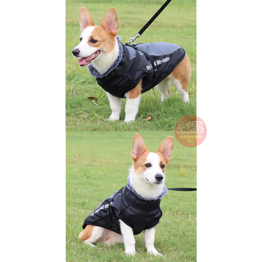 ペリ犬 n47 dog gear store (@n47_doggearstore) • Instagram photos