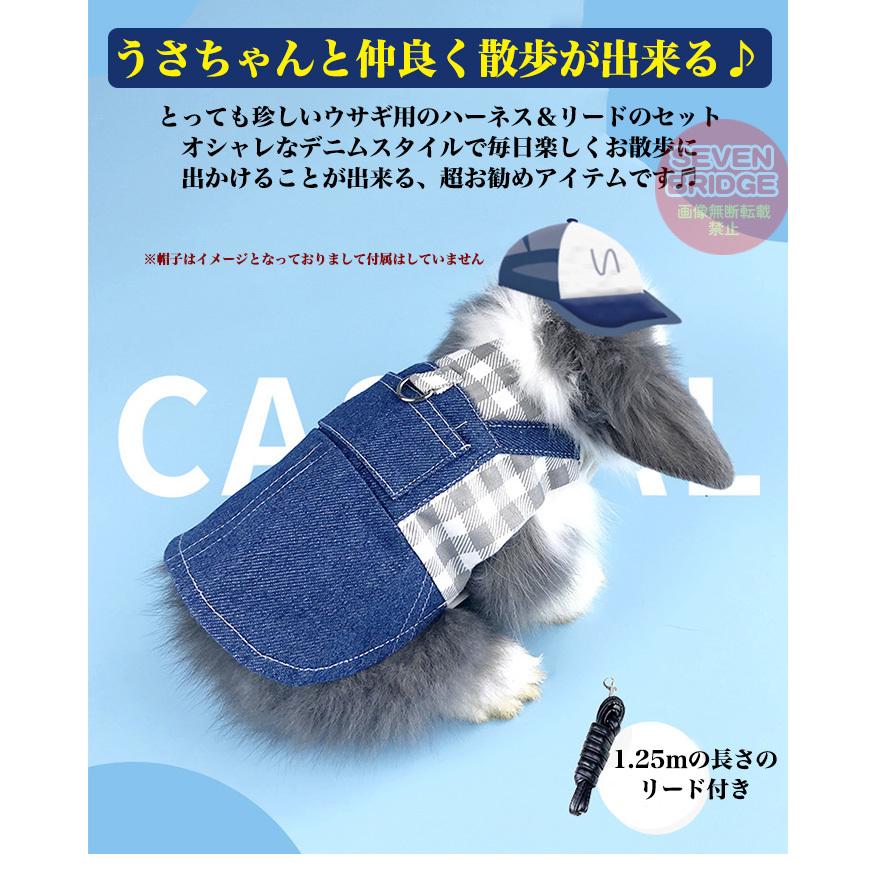 うさぎ ウサギ ハーネス リード 付 小動物 モルモット フェレット