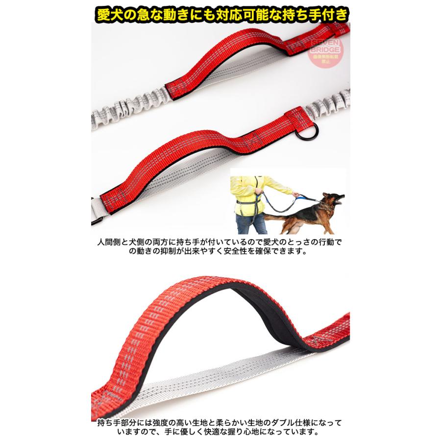 本革】ハンドフリーリードandハーネス多頭飼い用！ 2匹