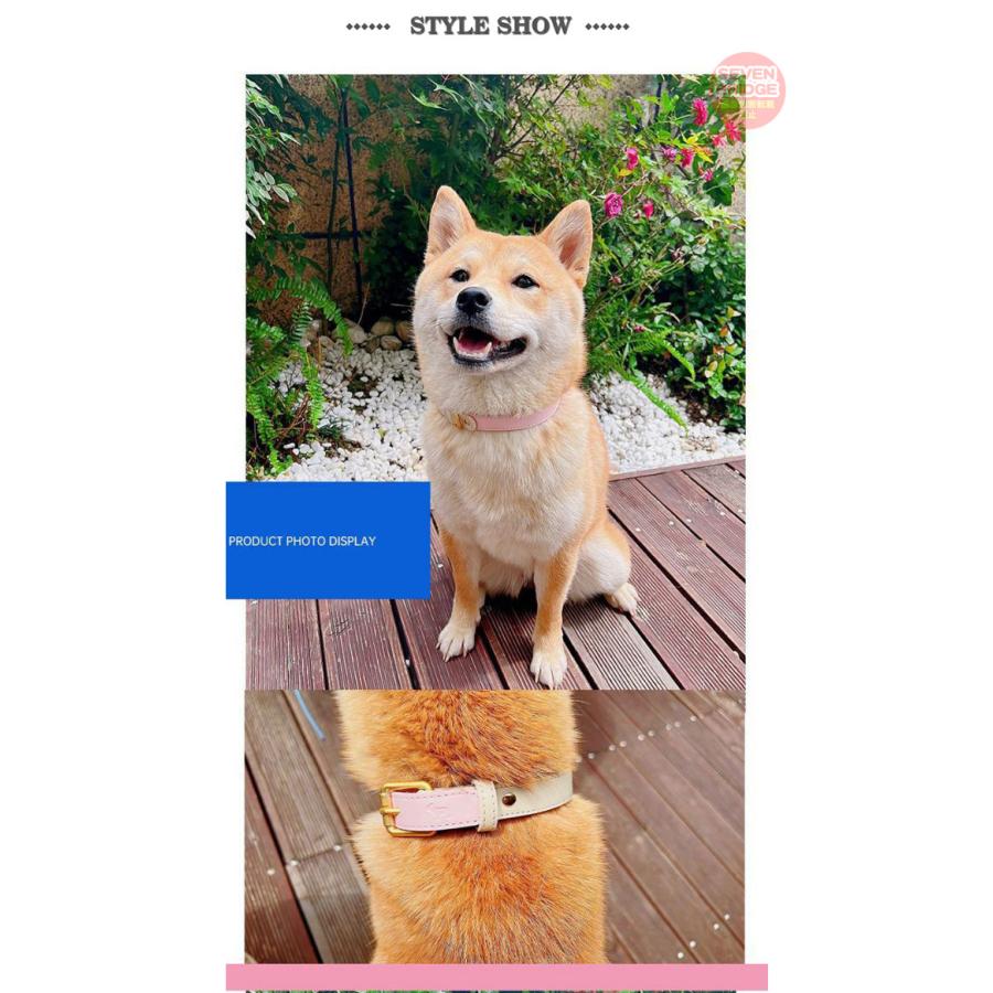 犬 猫 首輪 カラフル 4カラー ツートンカラー レザー ペット キャット