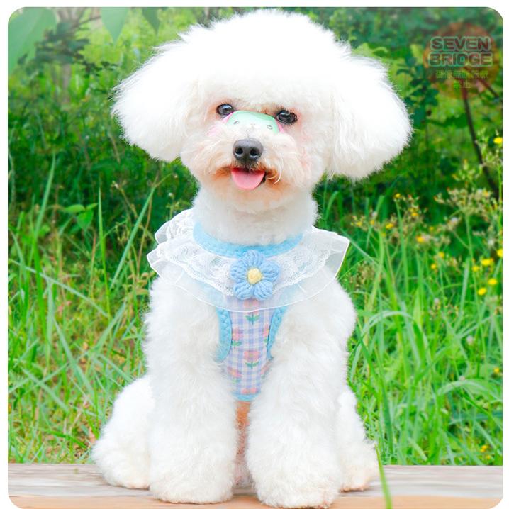 犬 猫 ハーネス リード付 フリル フラワー カラフル ウェアハーネス