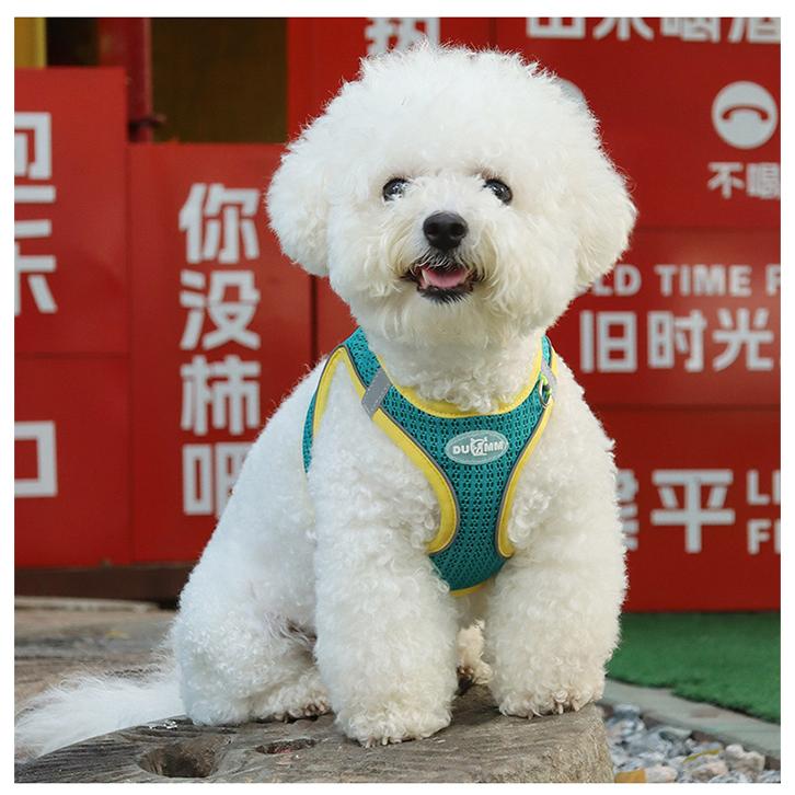 犬 猫 ハーネス リード付 ポップカラー 軽量 涼しい 快適 冷感 メッシュ ウェアハーネス 光反射 ペット 服 胴輪 キャット ドッグ｜sevenbridge｜16