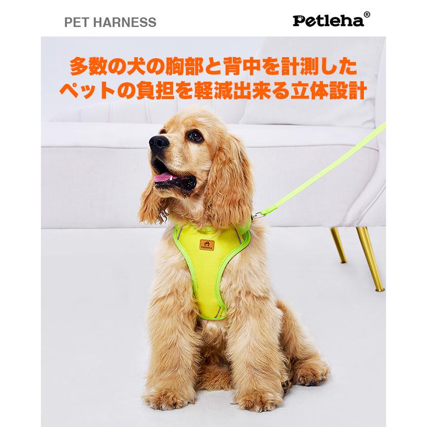 犬 猫 ハーネス リード付 ツートン カラフル しっかりホールド 脱げ