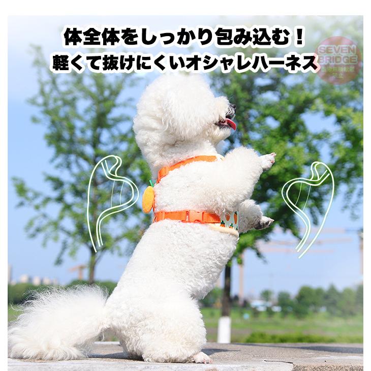 犬 猫 オシャレ ハーネス リード付 体に優しい 野菜 フルーツ 脱げ