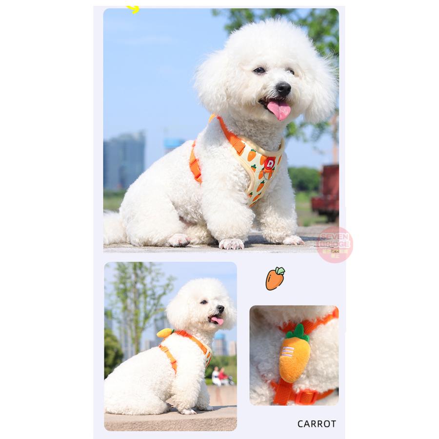 犬 猫 オシャレ ハーネス リード付 体に優しい 野菜 フルーツ 脱げ