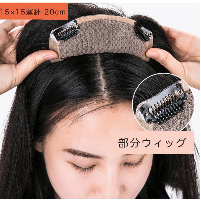 激安 即納 前髪ウィッグ ウィッグ ヘアピース かつら 女性 部分かつら 15 15cm運針 cm 総手植え 人毛100 頭頂部 白髪隠し トップカバー つむじ 医療用ウィッグ 最新人気 Sparosport Com