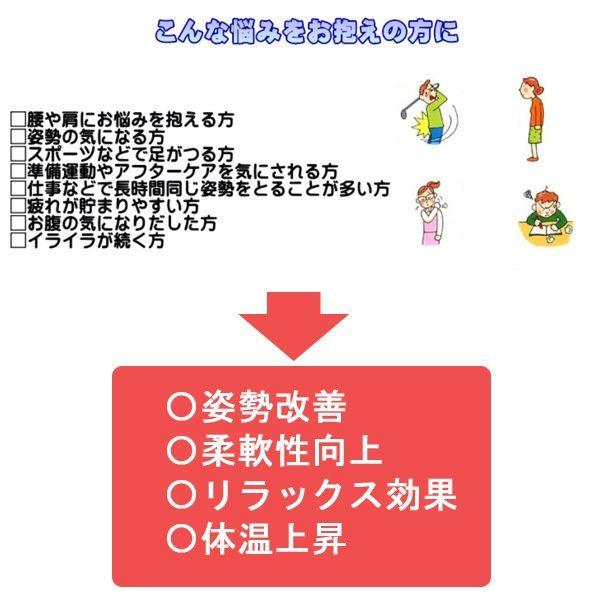 正規品 アサヒ ストレッチングボード Ver2 ストレッチ 器具 ふくらはぎ 腰痛 日本製 健康 柔軟 エクササイズ 送料無料 | アサヒ | 01