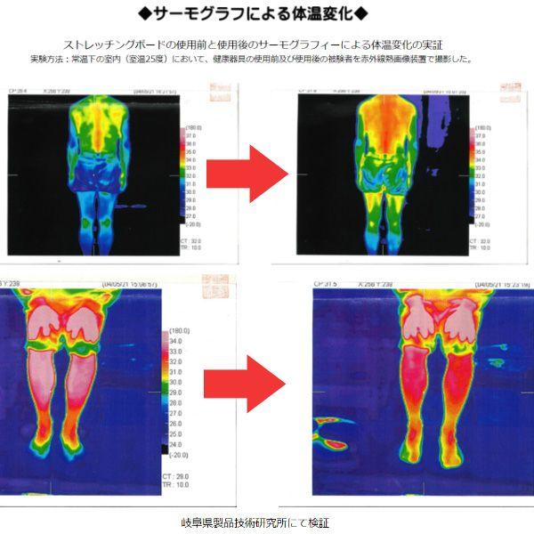 正規品 アサヒ ストレッチングボード Ver2 ストレッチ 器具 ふくらはぎ 腰痛 日本製 健康 柔軟 エクササイズ 送料無料 | アサヒ | 04