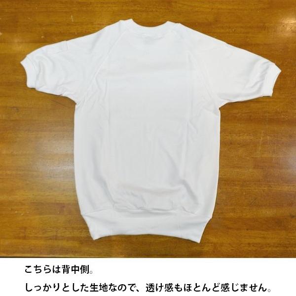 体操着 体操服 園児 小学生 100 110 120 半袖 丸首 クルーネック 綿 袖 