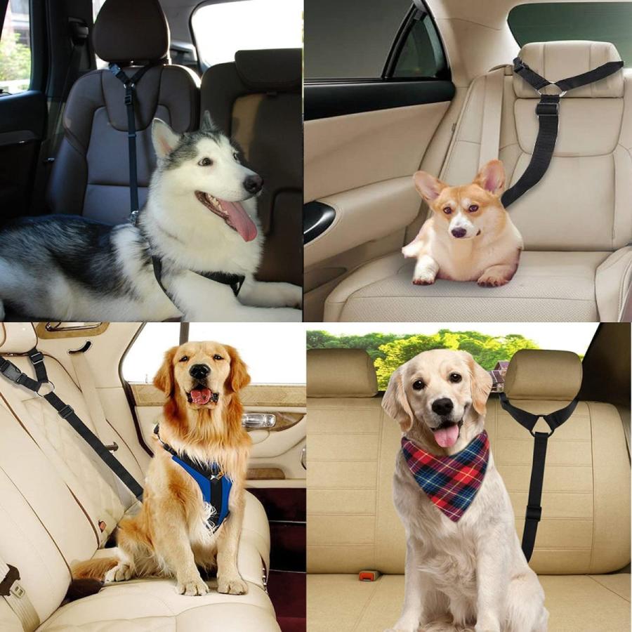 犬 ペット シートベルト リード ハーネス 犬猫 兼用 車に乗せても安心 車 運転 ドライブ |  | 04