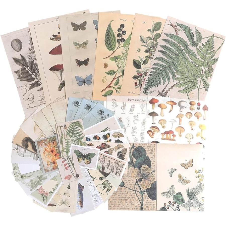 楽天市場 コラージュ 素材 Mdm 自然のノート