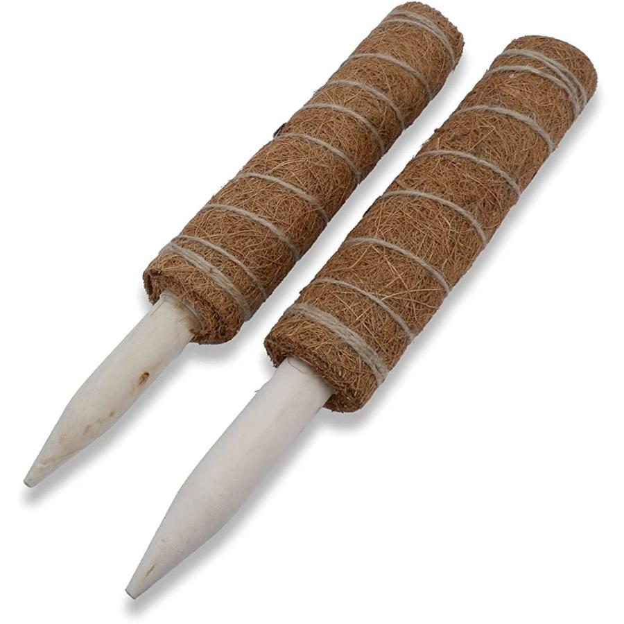 園芸 支柱 30cm 植物 蔓 花ささえ 連結 延長 木製 ココナッツ 支え ガーデニング 茶色 Segurosaurora Com