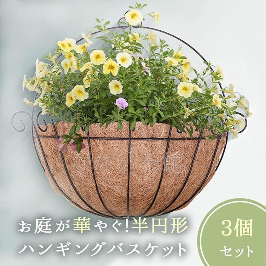 半円形 ハンギングバスケット 3個セット 寄せ植え プランター 壁掛け 屋外 フェンス 花 植物 ガーデニング 横幅34cm 2b4qdnqq2l セブンリーフ 通販 Yahoo ショッピング