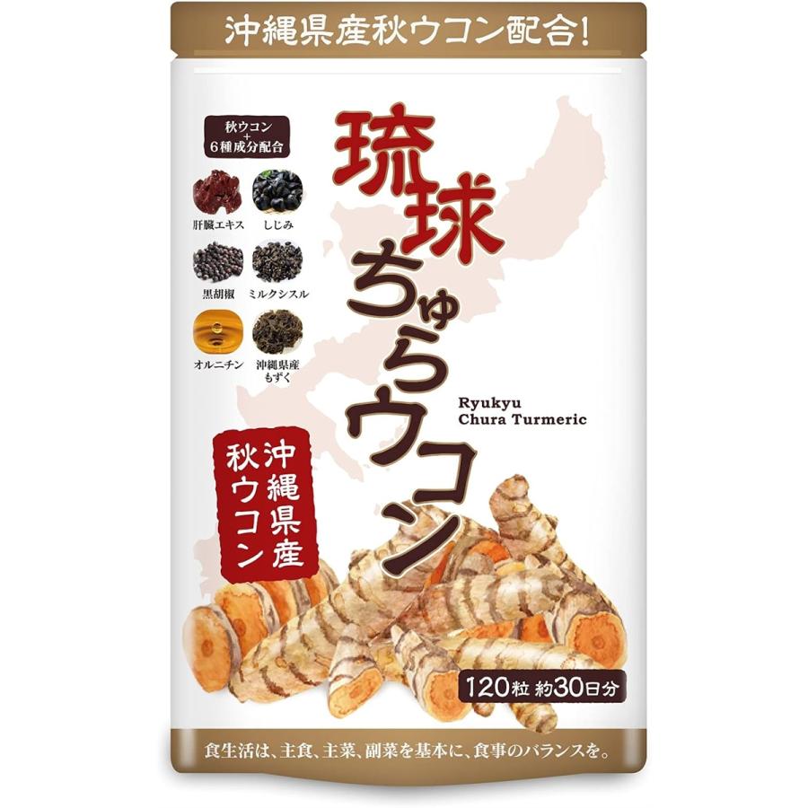 送料無料 2個セット 264粒×2個セット しじみの入った牡蠣ウコン+オルニチン メール便対応2,980円 井藤漢方 徳用66日分 最大70%OFFクーポン 井藤漢方 送料無料 2個セット 264粒×2個セット しじみの入った牡蠣ウコン+オルニチン メール便対応2,980円 井藤漢方 徳用66日分 最大70%OFFクーポン 井藤漢方