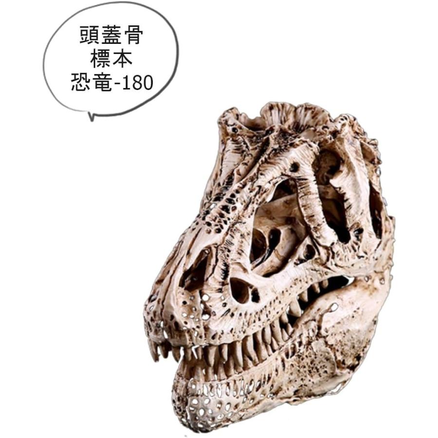 ワズチヨ 骨 模型 ほね もけい 標本 ひょうほん 骨格模型 ずがいこつ 動物 おおかみ 恐竜 ティラノザウルス 白 恐竜 180 白 2b64tly9q0 セブンリーフ 通販 Yahoo ショッピング
