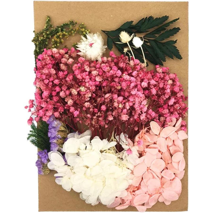 プリザーブドフラワー 花材 種類豊富ハーバリウム ドライフラワー 手芸 ハンドメイド ホビー 詰め合わせ 03 2b6kvwlp5j セブンリーフ 通販 Yahoo ショッピング