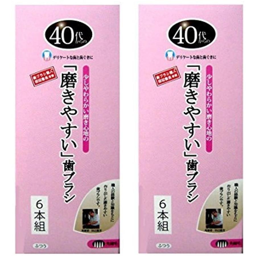 歯ブラシ職人 田辺重吉考案 40代からの磨きやすい歯ブラシ 先細 6本組 2個セット Lt 15 2b8iypqsvq セブンリーフ 通販 Yahoo ショッピング