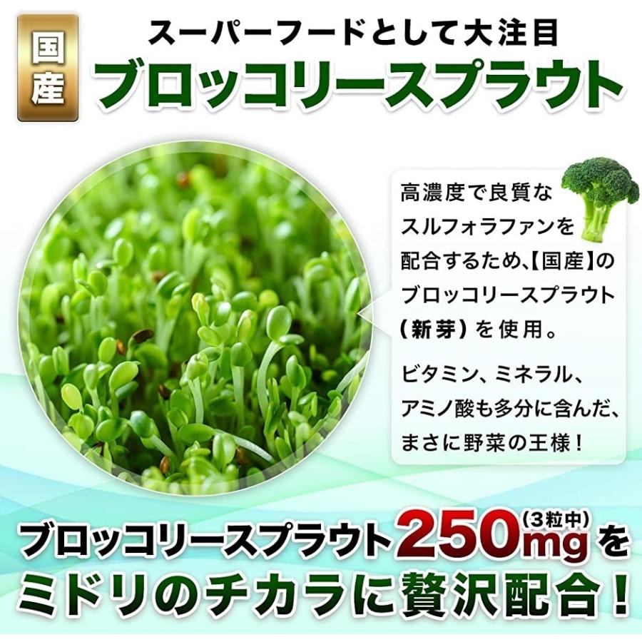 スルフォラファン ブロッコリースプラウト モリンガ サプリ ミドリのちから 90粒 栄養機能性食品 ブロッコリーサプリ 30日分 2b8rvpkguy セブンリーフ 通販 Yahoo ショッピング