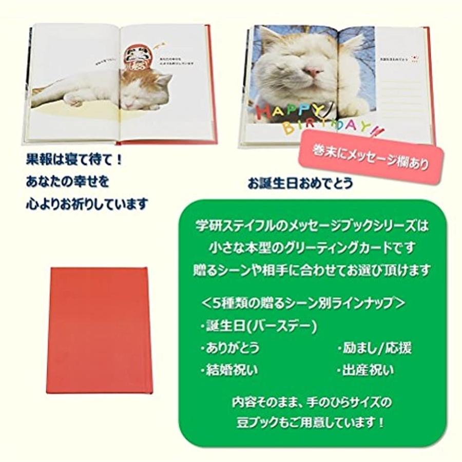 バースデーカード メッセージブック B かご猫 最大 Offクーポン